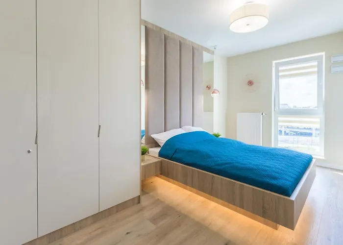 Hollylodz Netflix * Łódź